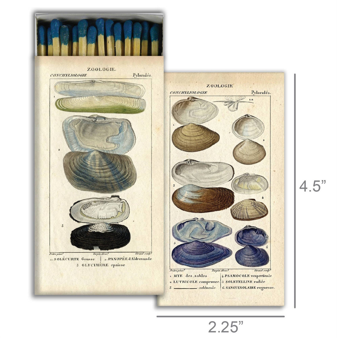 Matches, Seashell Specimens