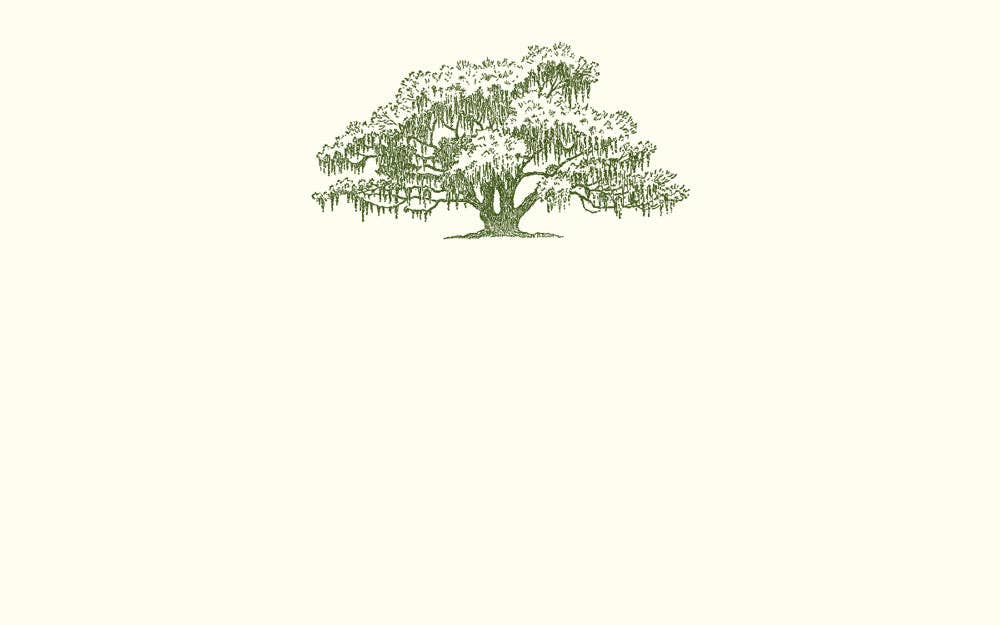 Oak Tree Place Card, S/10 | Alexa Pulitzer