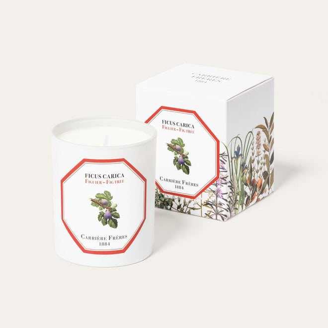 Fig Candle | Carrière Frères