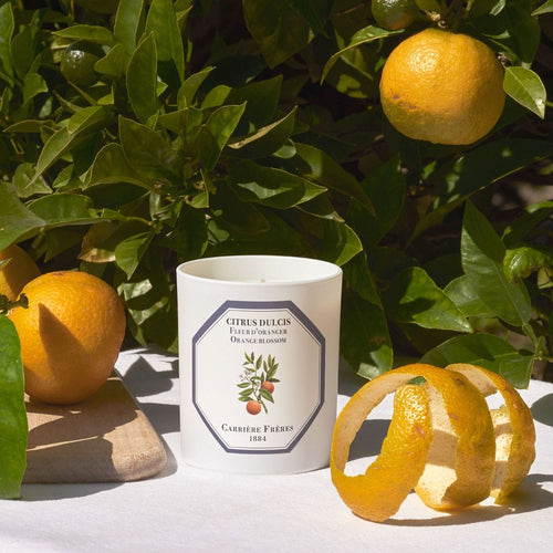 Orange Blossom Scented Candle | Carrière Frères