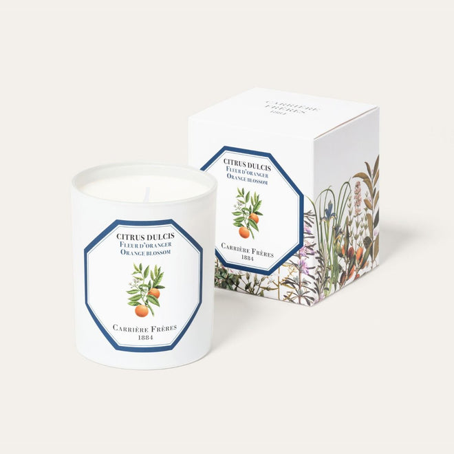 Orange Blossom Scented Candle | Carrière Frères