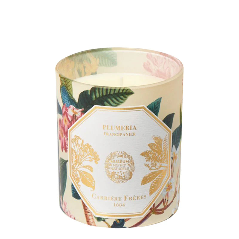 Plumeria Candle | Carrière Freres