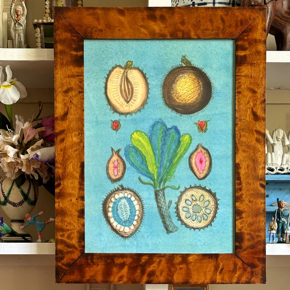 "Pods and Sprouts" Framed Art | Mary Maguire