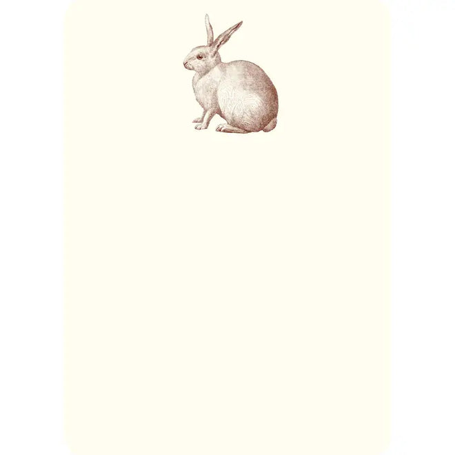 Rabbit Notecards, S/10 | Alexa Pulitzer