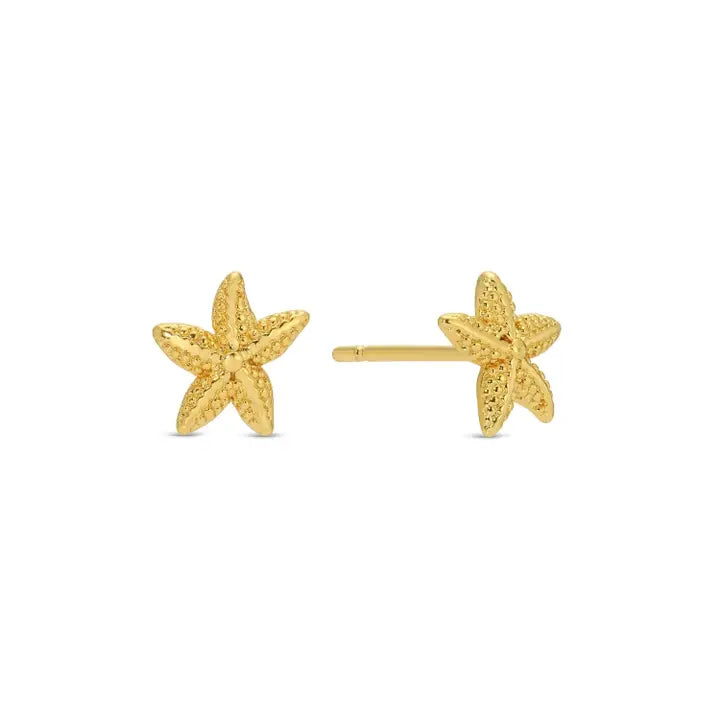 Starfish Stud Earrings on Velvet Tag, Gold