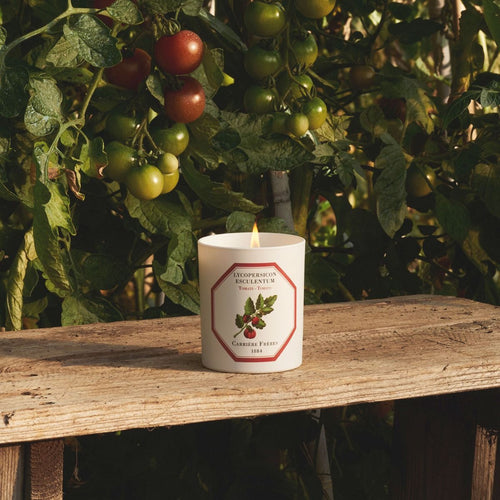 Tomato Candle | Carrière Frères
